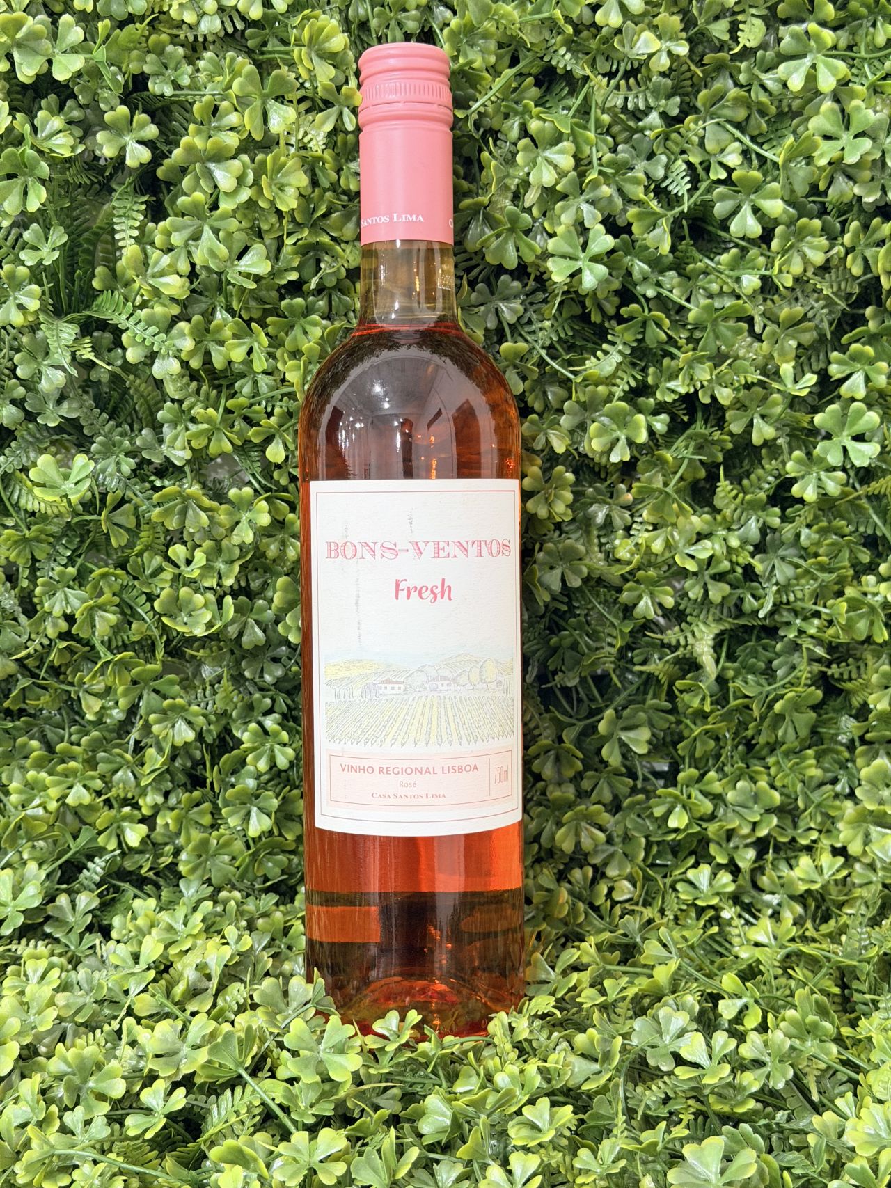 Bons-Ventos fresh Rosé