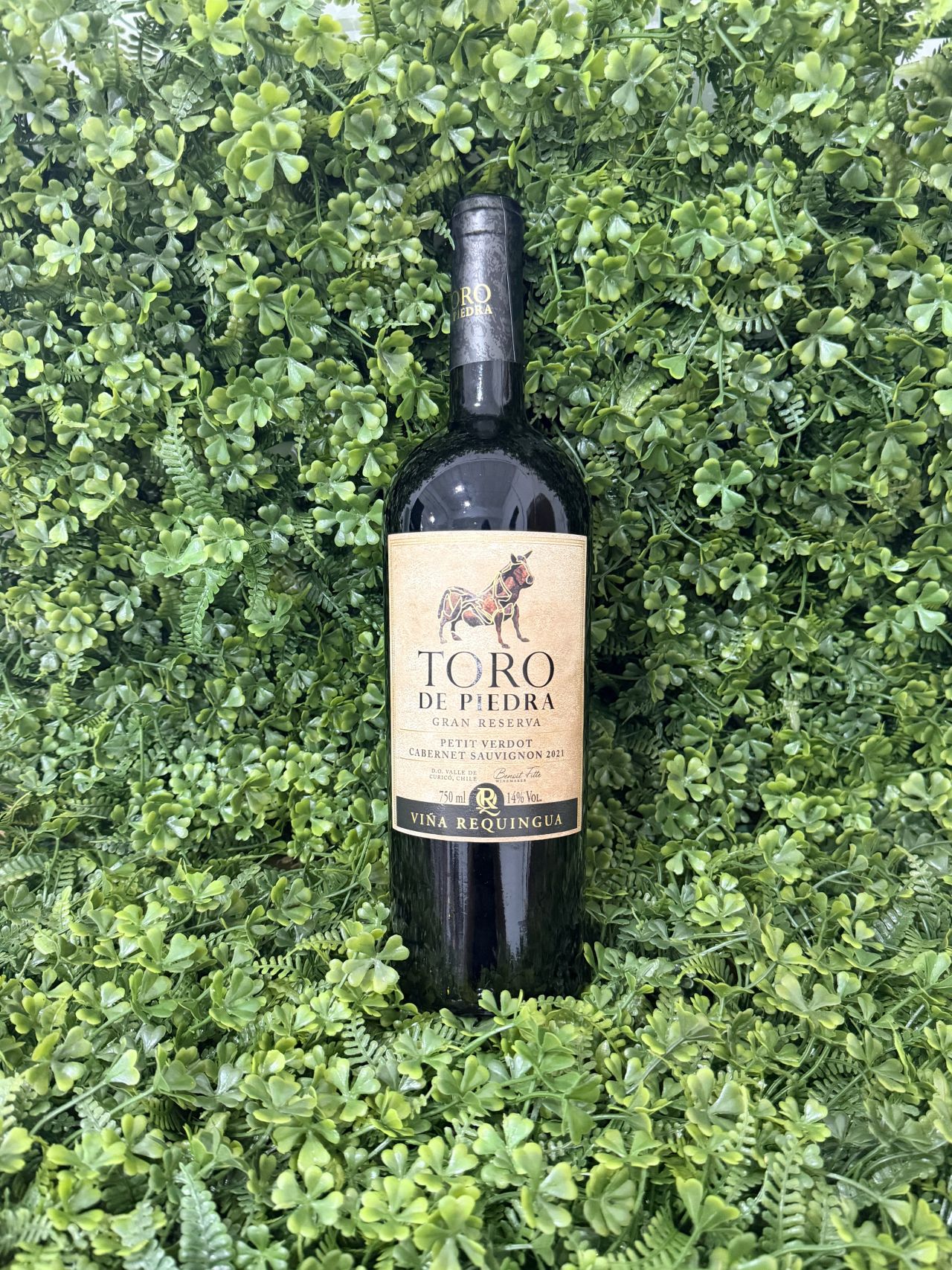 Toro de Piedra Gran Reserva Petit Verdot/ Cabernet Sauvignon