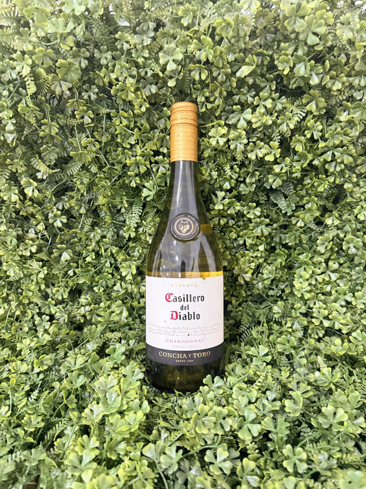 Casillero del Diablo Chardonnay reserva