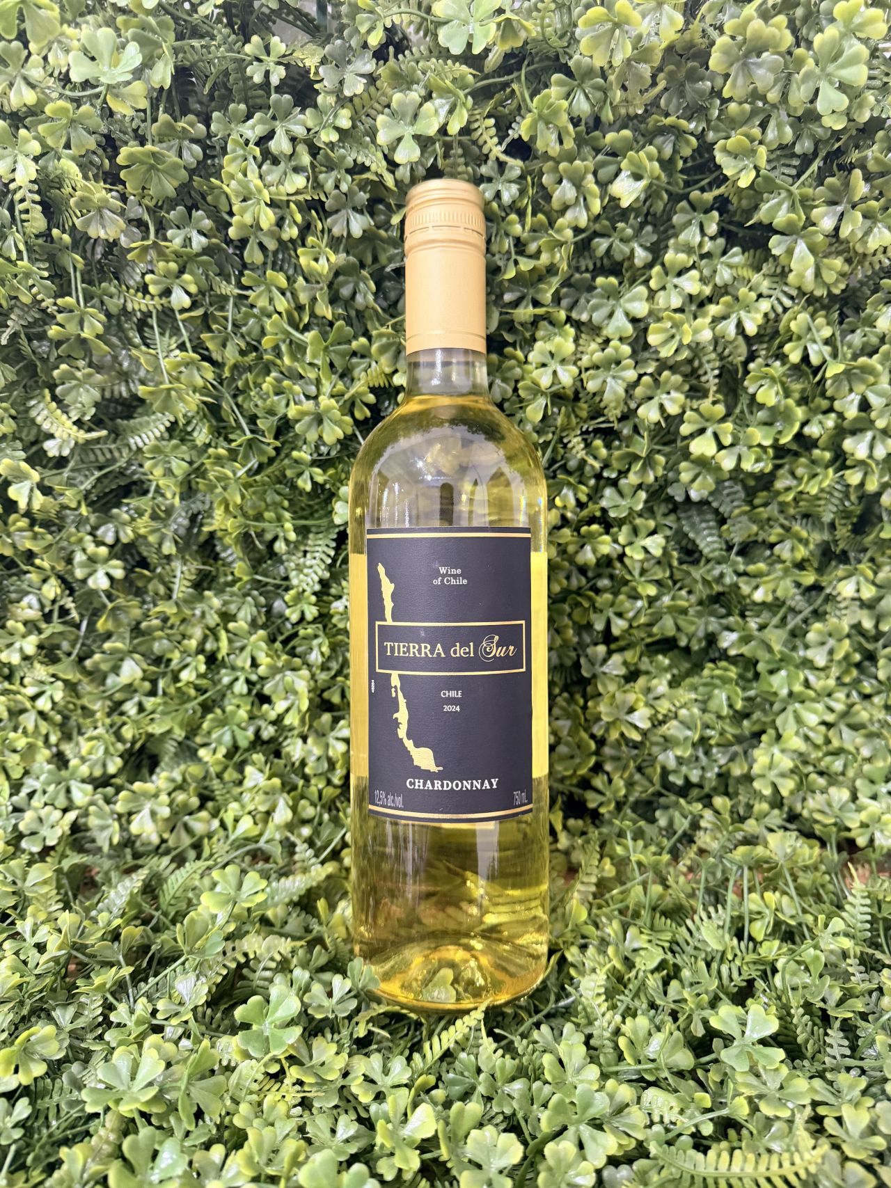 Tierra del Sur Chardonnay