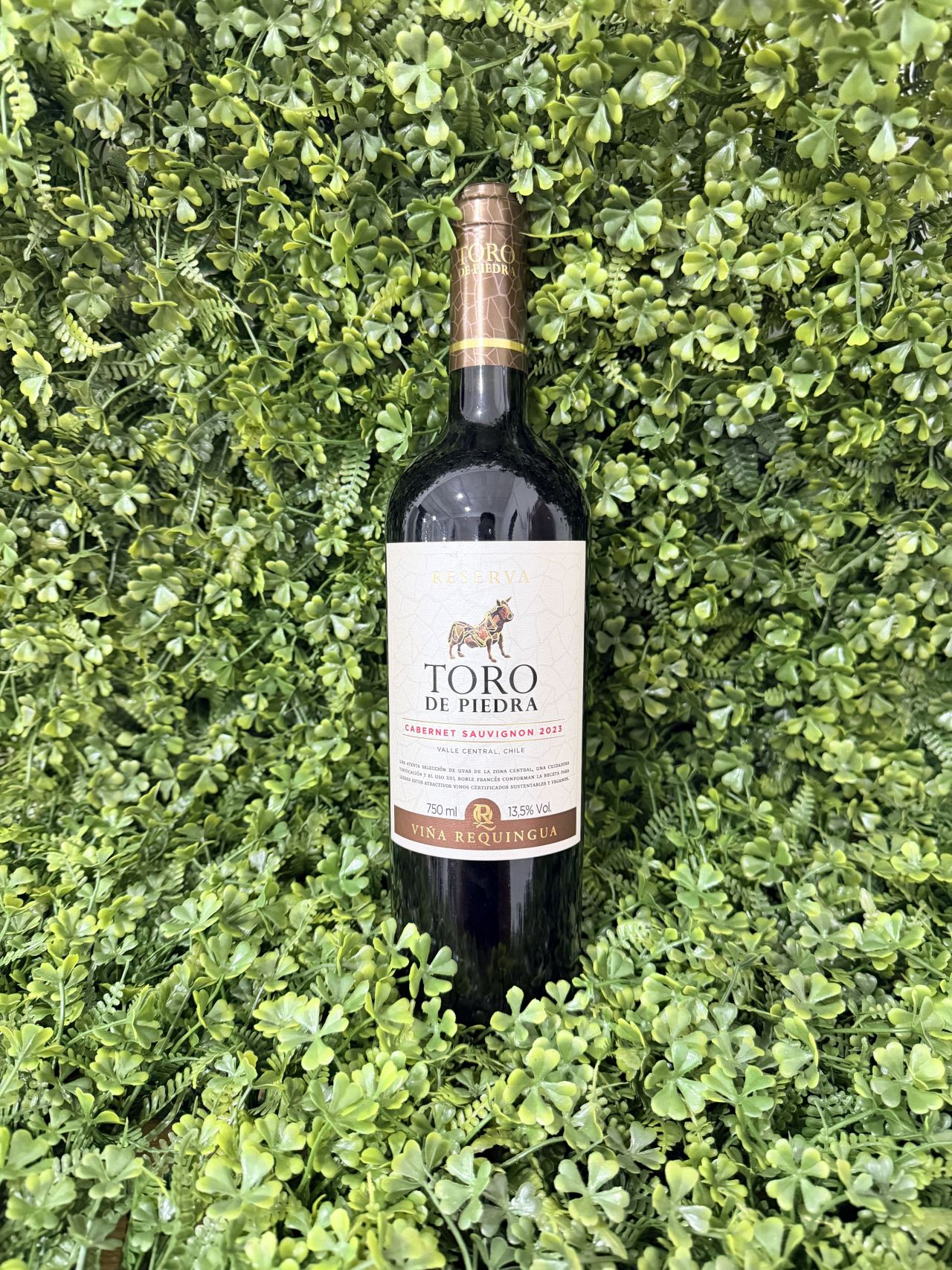 Toro de Piedra Reserva Cabernet Sauvignon